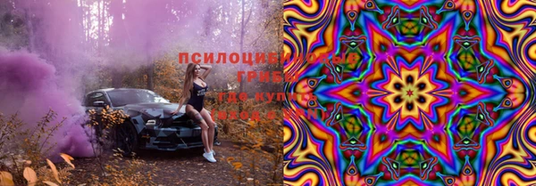бошки Богданович