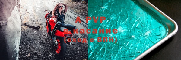 бошки Богданович